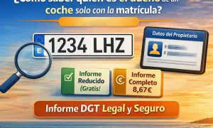 ¿Cómo saber el propietario de un coche? Imagen muestra matrícula, lupa, datos del propietario y opciones de informe.