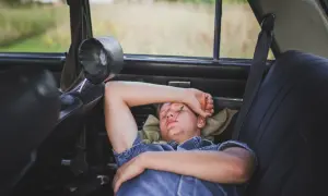 Joven duerme en el asiento trasero de un coche, con una brizna de hierba en la cara. Se puede dormir en el coche en un viaje largo.