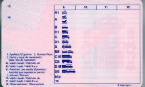 Permiso de conducir con categorías A1, A, B, C, D, BE, C1E, CE, D1E, DE y btp. Ideal para quien busca un canet de moto.