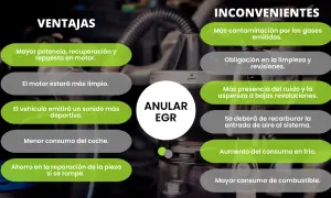 Ventajas y desventajas de anular EGR: mayor potencia, motor más limpio, pero más contaminación y ruido. Opiniones divididas.