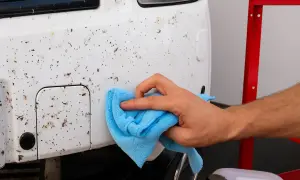 Mano limpiando el coche para quitar mosquitos y restos de insectos.