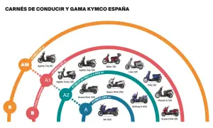Diagrama de carnés de conducir y gama Kymco España: AM, A1, A2, A. Modelos de motos Kymco para cada carné.