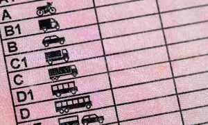 Detalle de un permiso de conducir con categorías como A1, A2, B, C, D, y sus subcategorías, mostrando iconos de motos, coches y camiones.