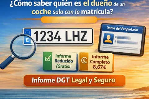 ¿Cómo saber el propietario de un coche? Imagen muestra matrícula, lupa, datos del propietario y opciones de informe.