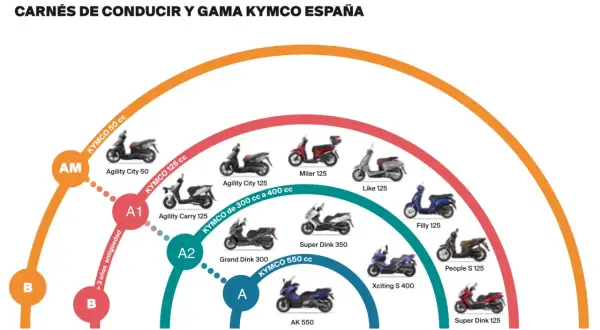 Diagrama de carnés de conducir y gama Kymco España: AM, A1, A2, A. Modelos de motos Kymco para cada carné.