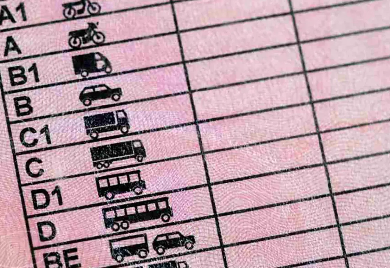 Detalle de un permiso de conducir con categorías como A1, A2, B, C, D, y sus subcategorías, mostrando iconos de motos, coches y camiones.