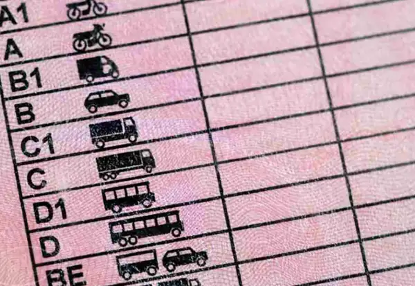 Detalle de un permiso de conducir con categorías como A1, A2, B, C, D, y sus subcategorías, mostrando iconos de motos, coches y camiones.